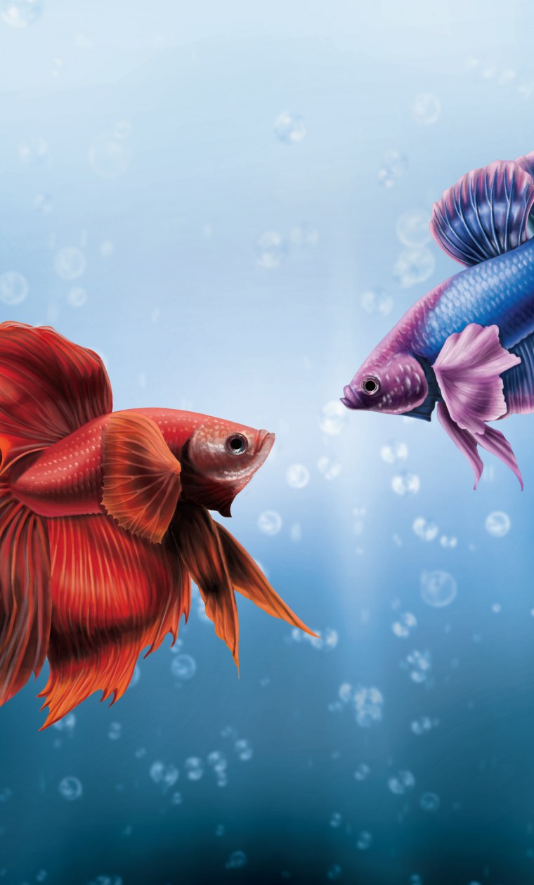 Волшебная рыба