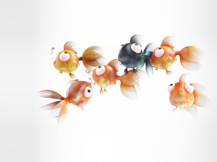 Хаяо Миядзаки карпы