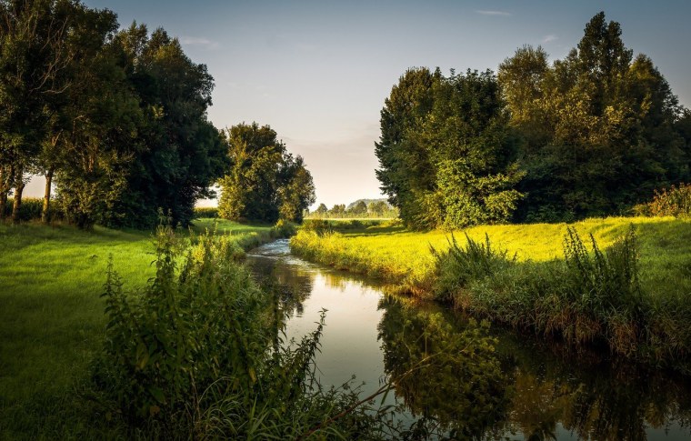 Летний пейзаж