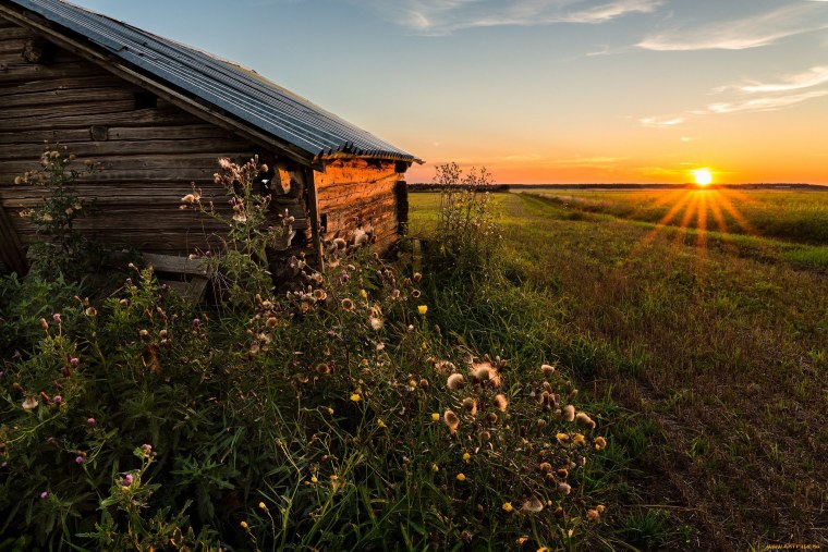 Природа деревня