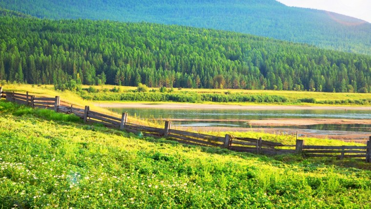 Верхнемарково лес