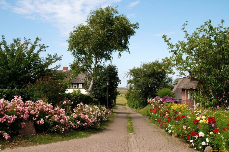 Красивый сад в деревне