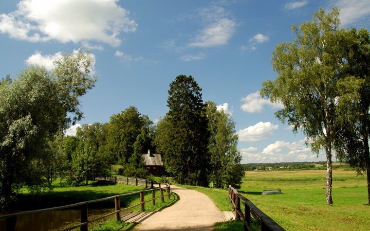 Деревня луг Будогощь