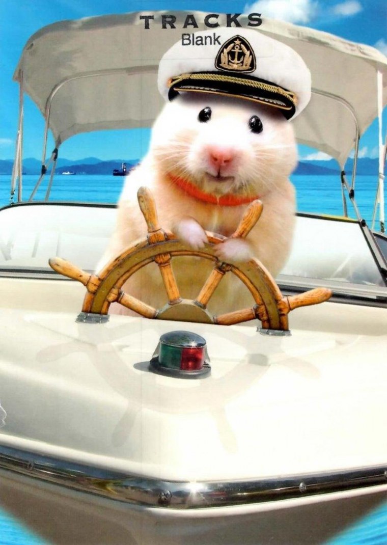 Мышка в траве