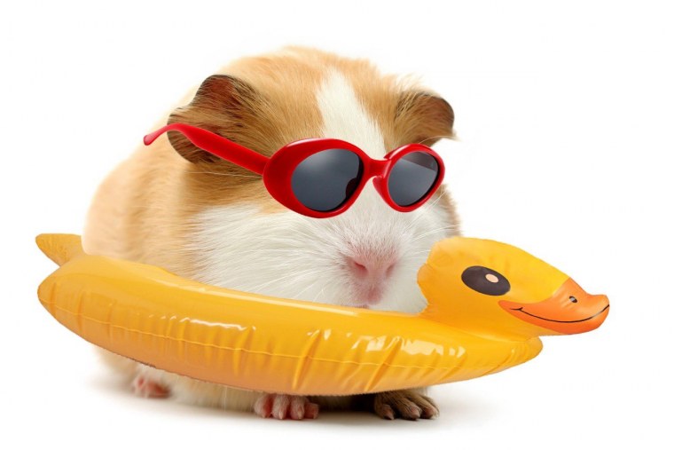 Природа России