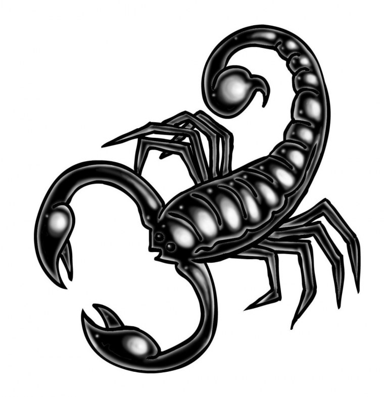 Скорпион Зодиак