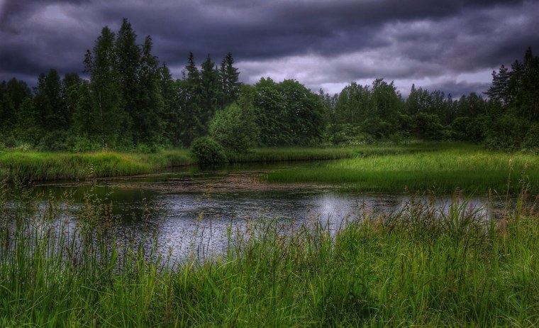 Пасмурное поле
