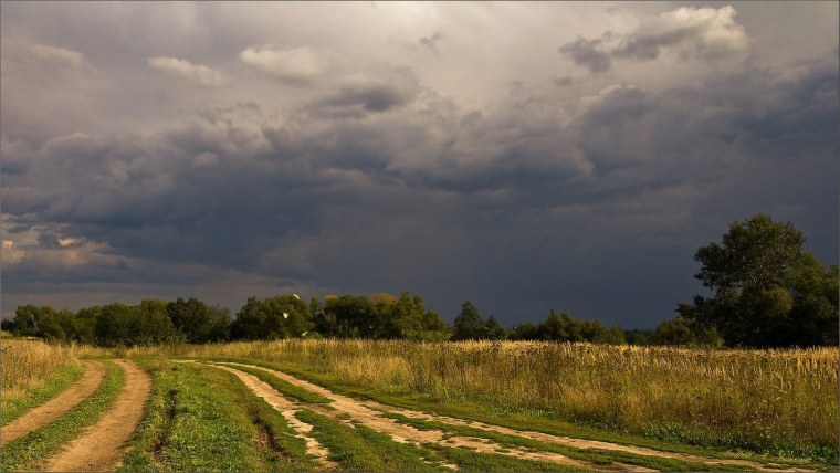 Перед грозой