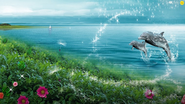 Обои качели море