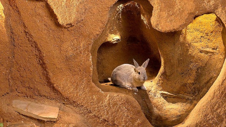 Пещера Нора