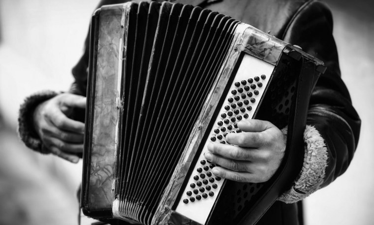 Гармонь в руках