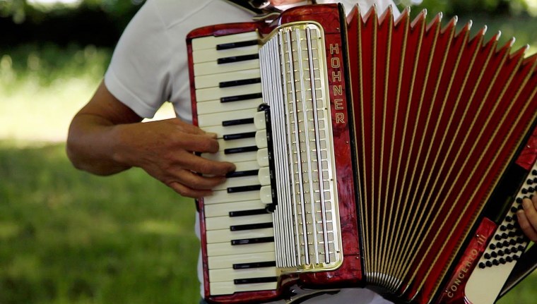 Французский аккордеонист