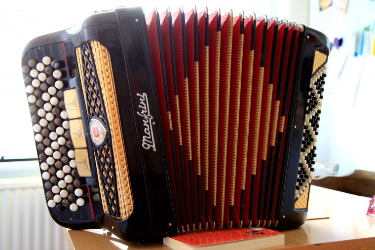 Муз инструмент баян