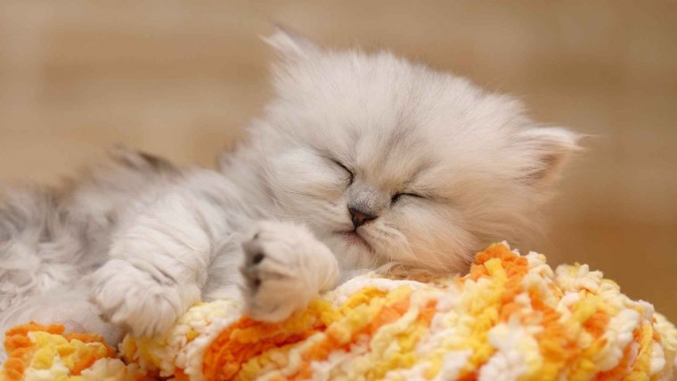 Обои Минимализм