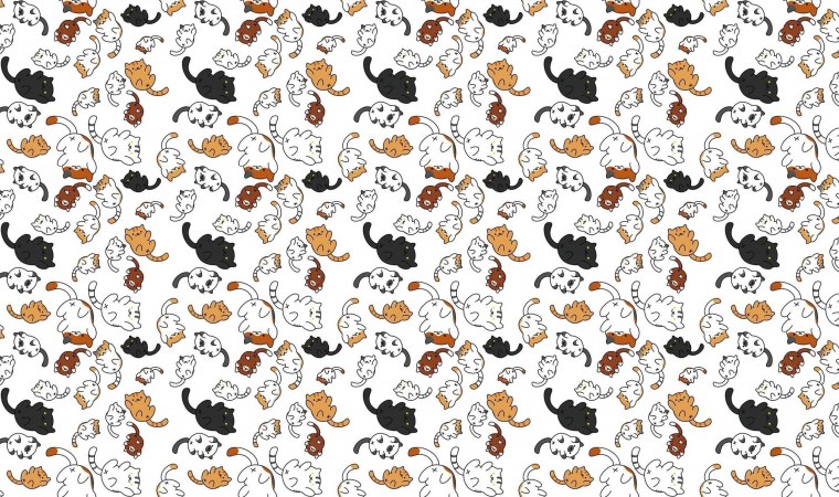 Кошечка Минимализм