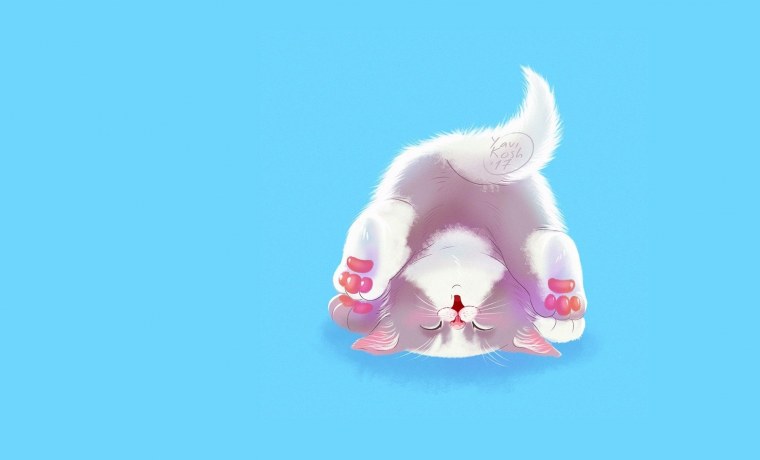 Котик на голубом фоне