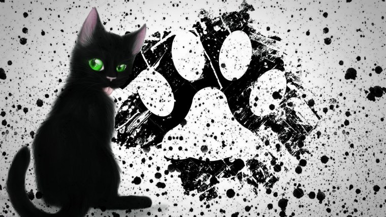 Паттерн котики