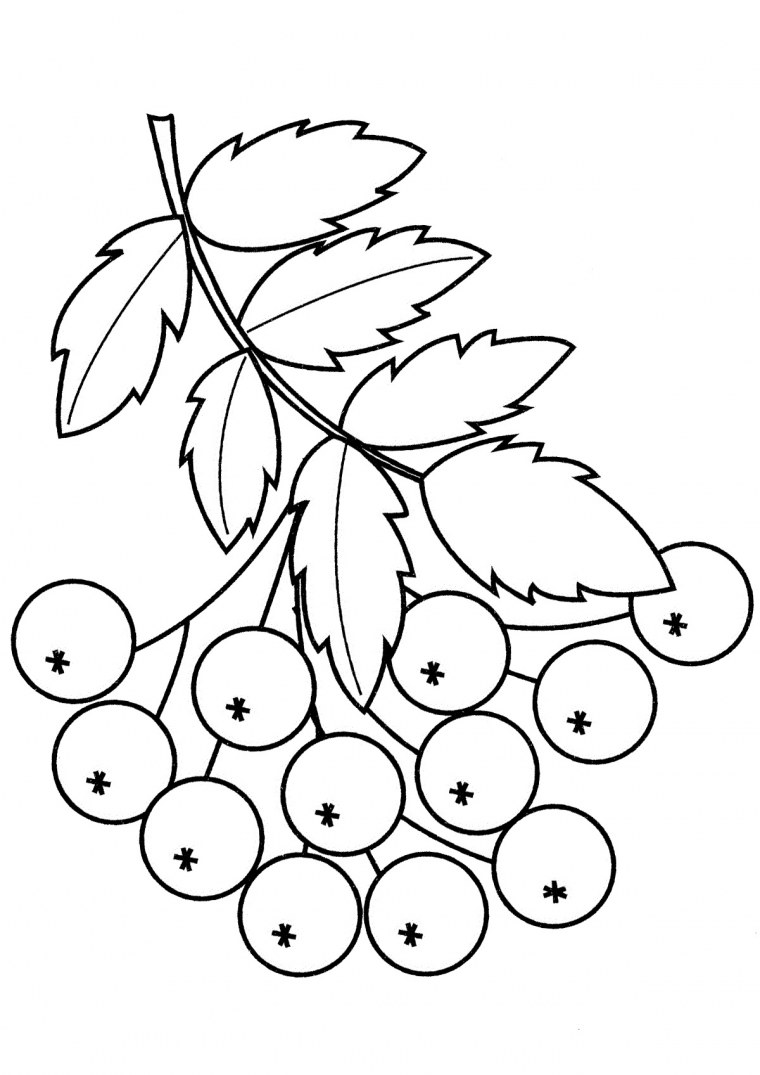 Рябина дерево