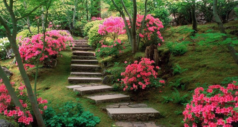 Ландшафтный дизайн фон