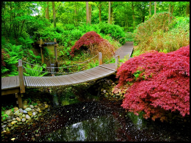 Пейзажный сад Японии