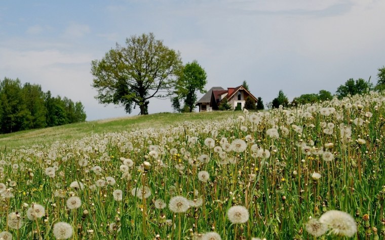 Деревня летом