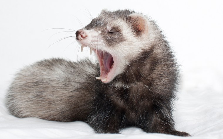 Обрезки обvodo liniami.PNG