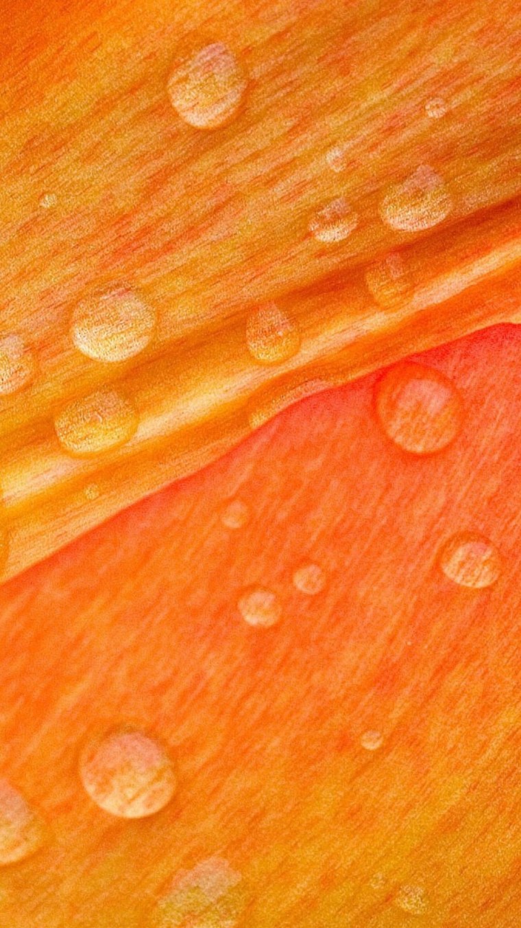 BMW x7 оранжевая