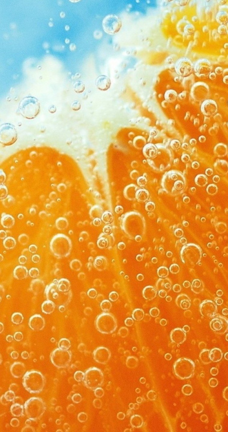 Оранжево коричневые цветы