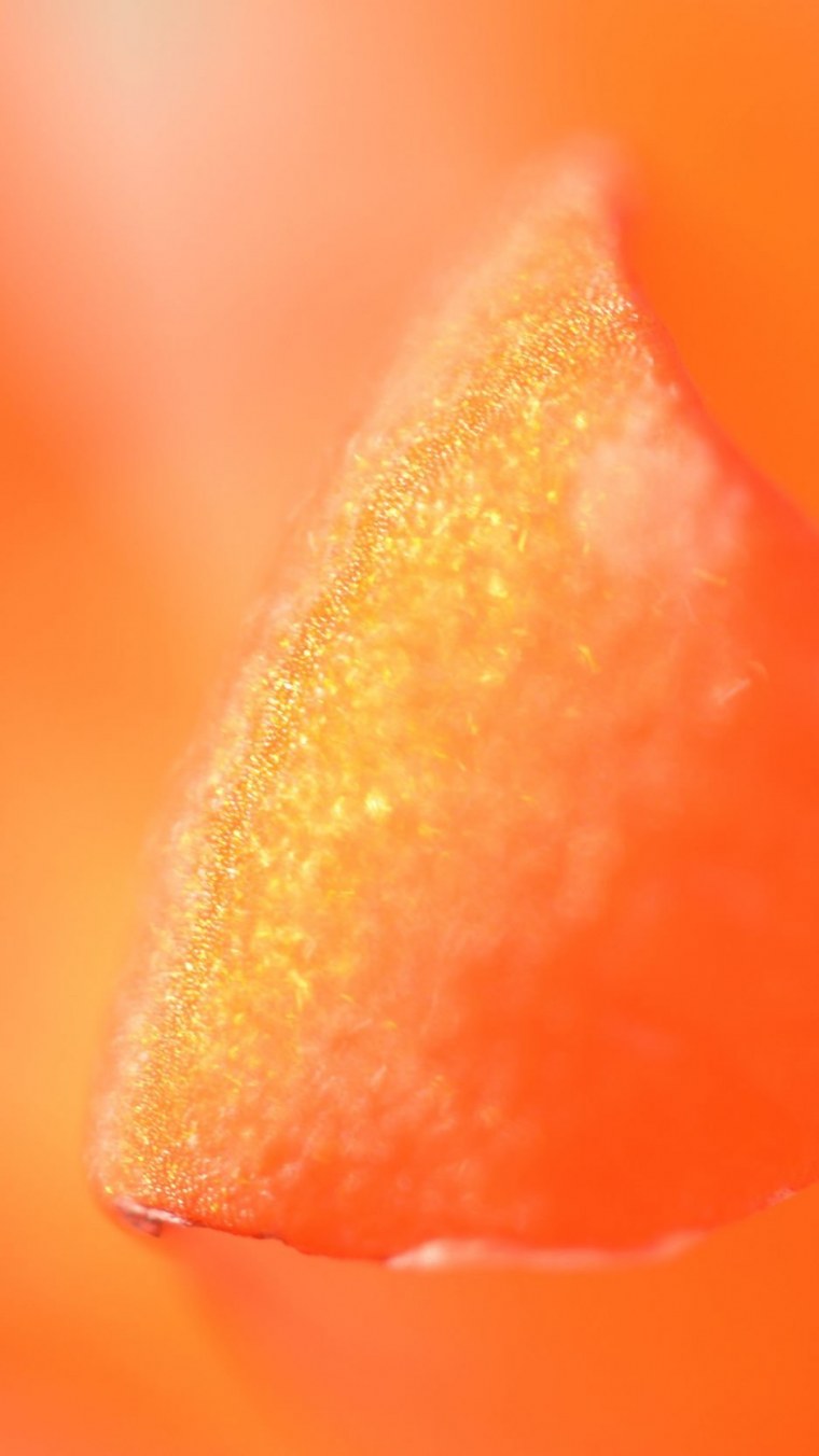 Желтый фон на айфон