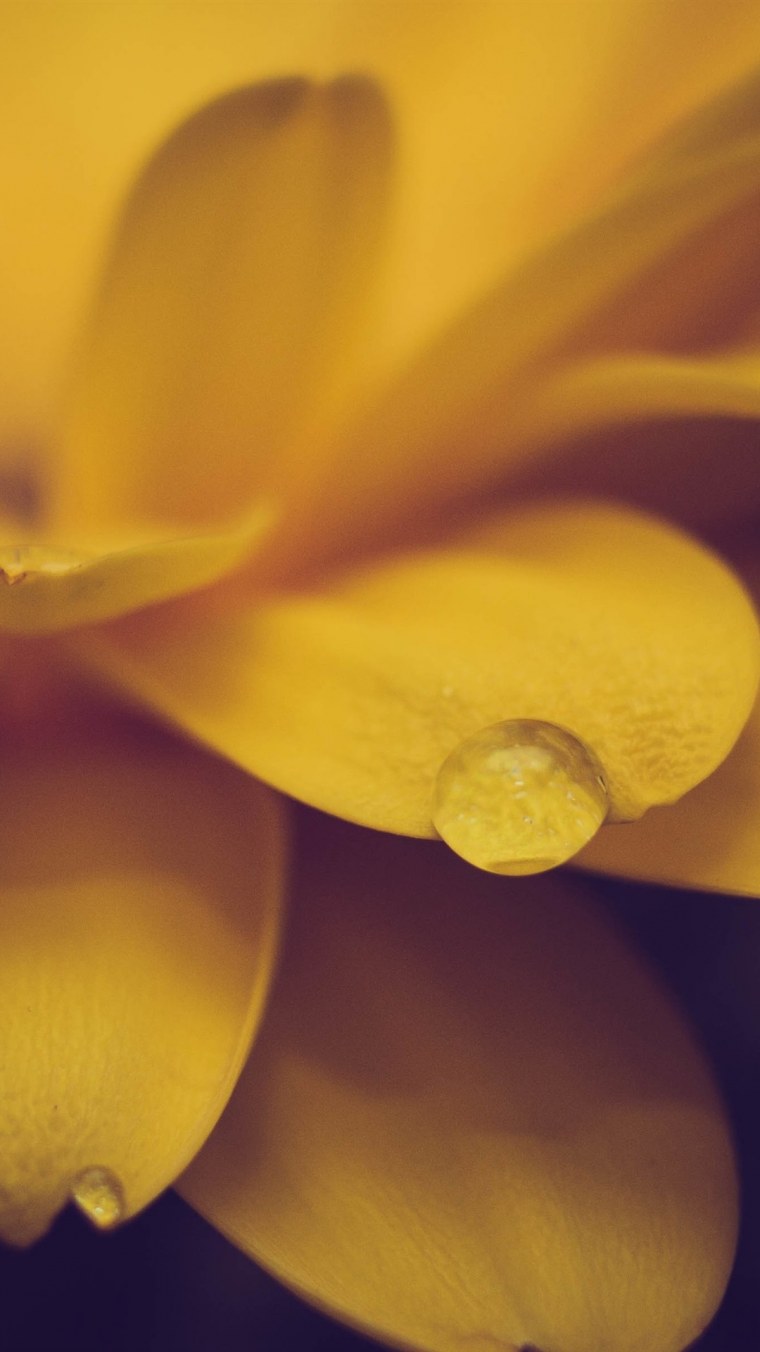 Ананас на желтом фоне