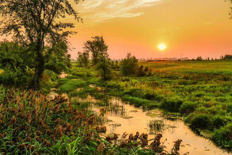 Болото Юпяужсуо Карелия