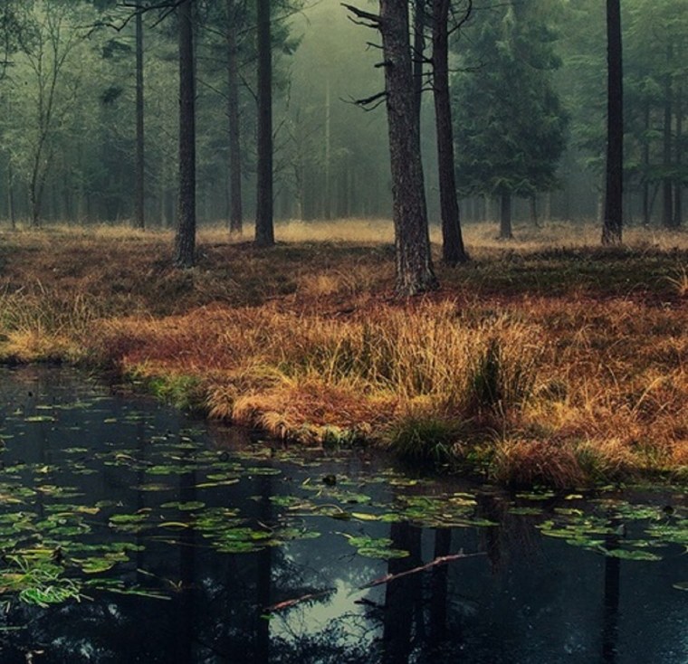 Федор Лашков Ленинградская область