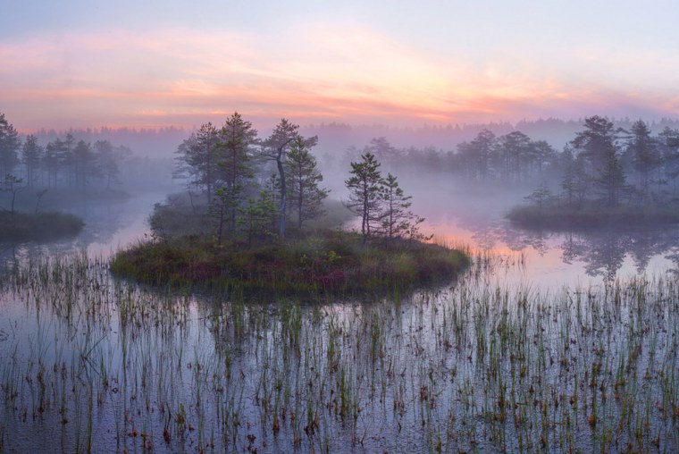 Гиблое болото