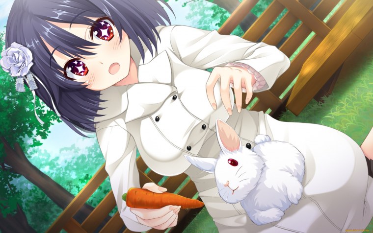 Аниме собачка