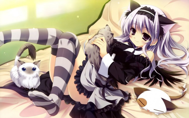 Mikagami mamizu Neko Koi