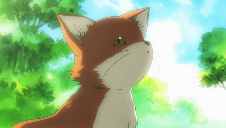 Аниме девушки животные