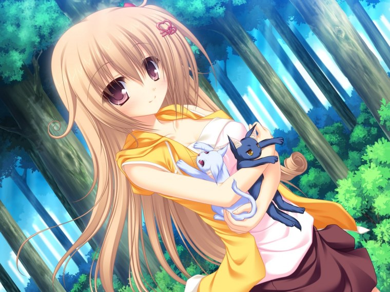 Аниме киса девушка