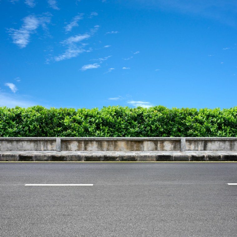 Пейзаж дорога