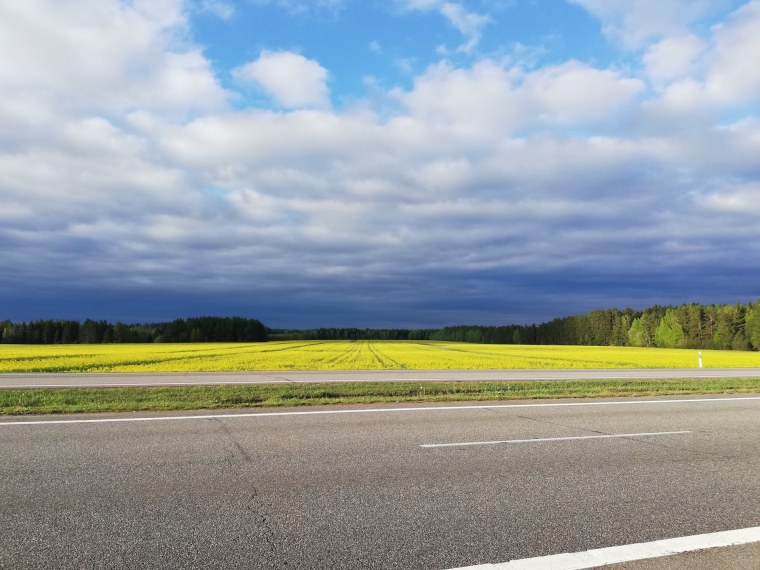 Дорога трасса сбоку