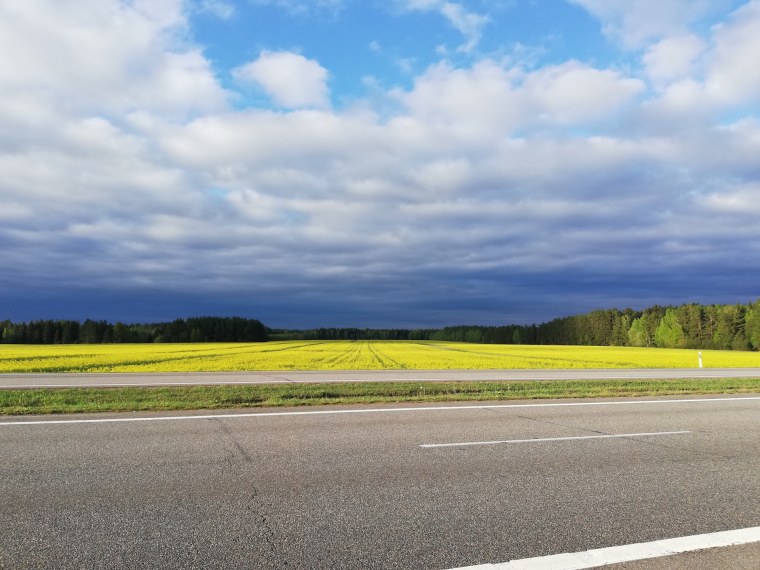 Пустая дорога сбоку