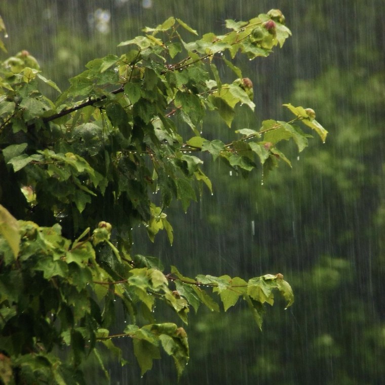 Сильный дождь лето