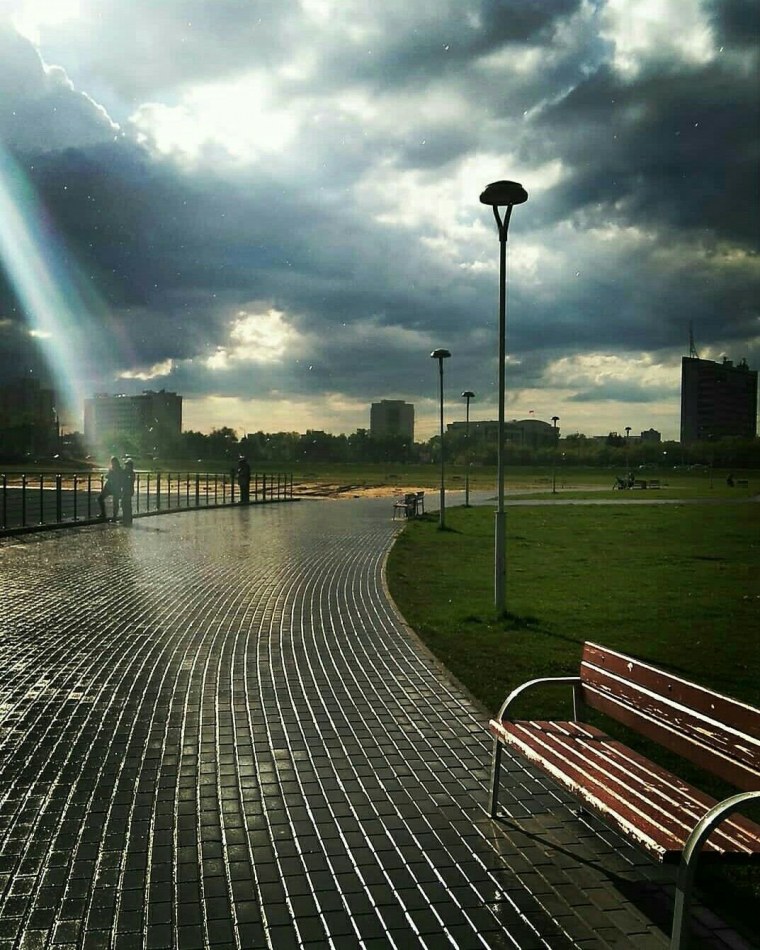 Летний дождь