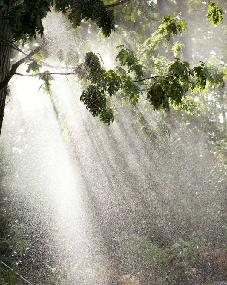 Красивый дождь