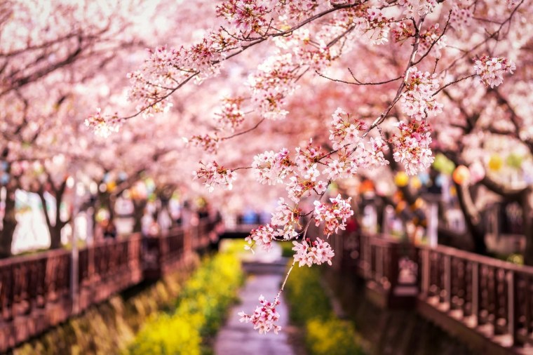 Река Хан Пусан