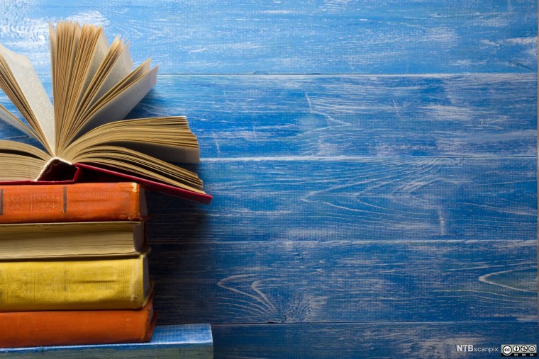 Книги на Светлом фоне