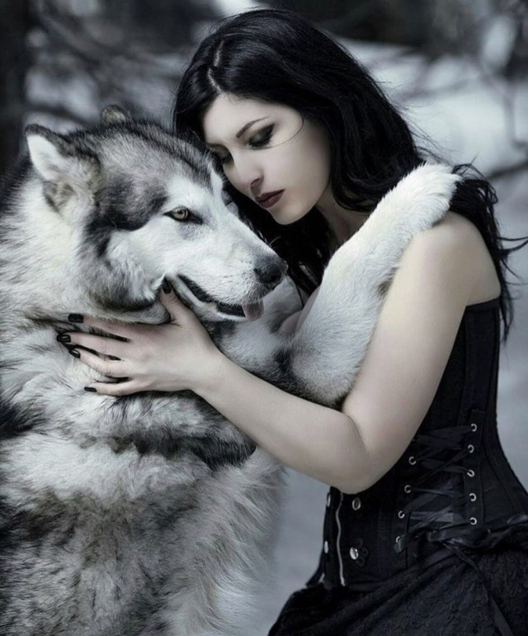 Волк на цепи