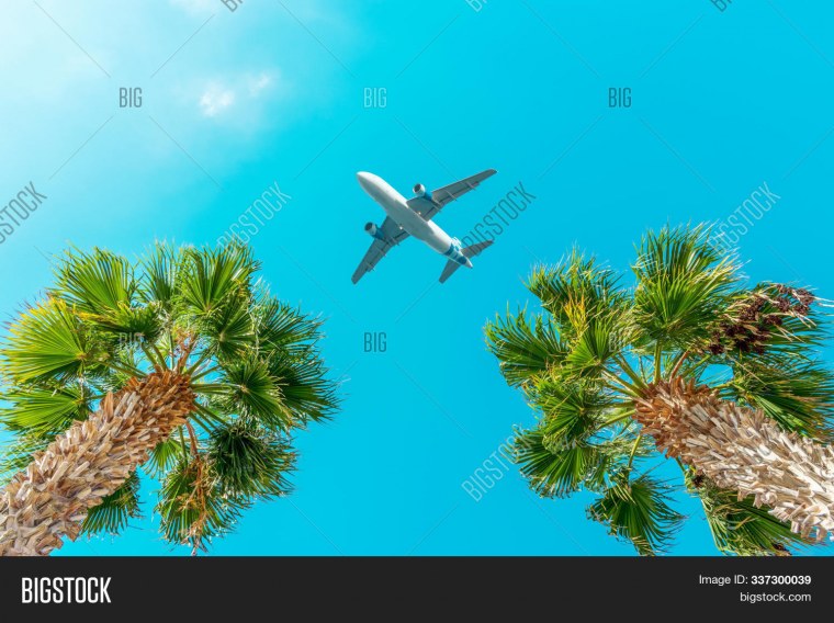Самолет над пальмами