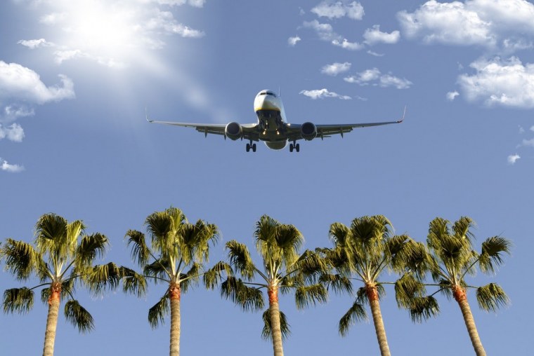 Самолет над пальмами