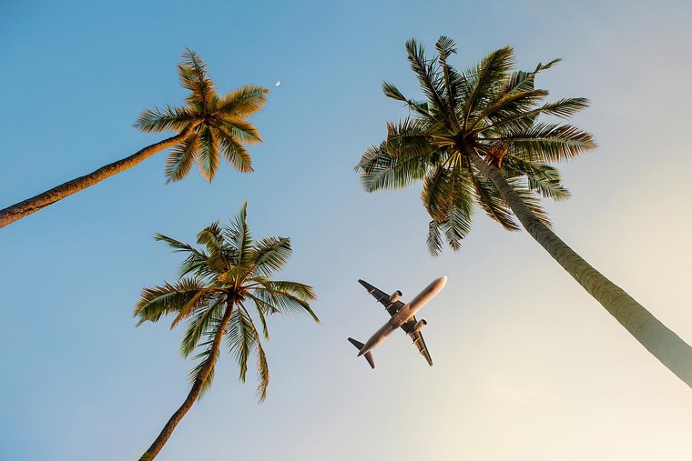 Самолет в небе пальмы