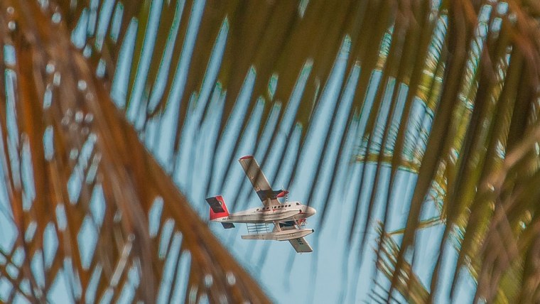 Самолет над пальмами